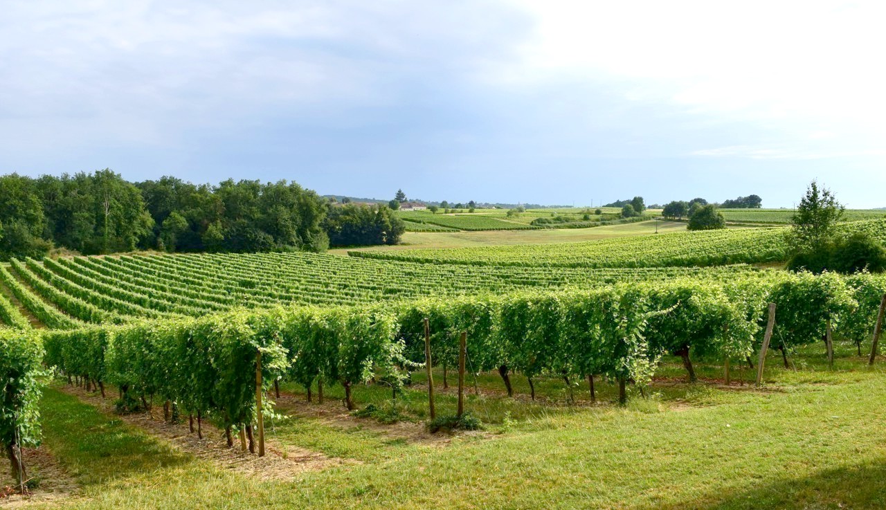 Domaine TOURMENTINE